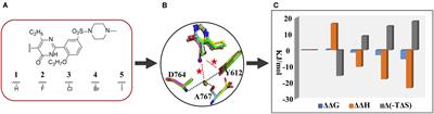 Application of ITC-Based Characterization of Thermodynamic and Kinetic Association of Ligands With Proteins in Drug Design